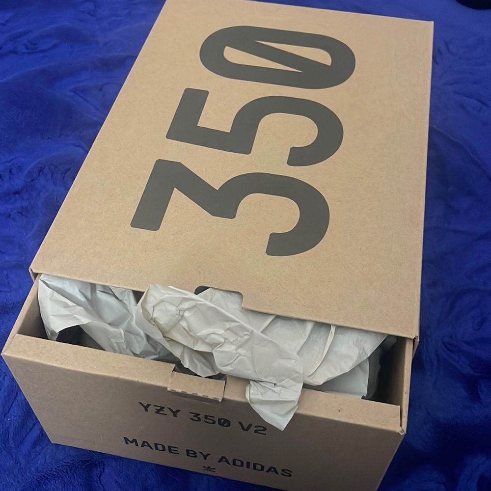 YZY 350 V2 Boost